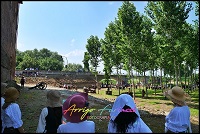 Card: Assalto al Castello