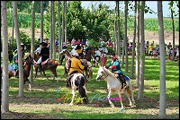 Card: Assalto al Castello