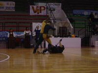 La Tigre e la Libellula