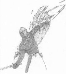 Disegni