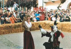 Torneo di Duello