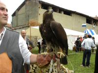 Torneo di Duello