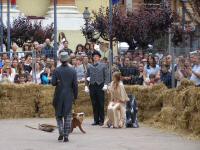 Torneo di Duello