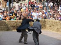 Pavone Canavese "Ferie Medievali"