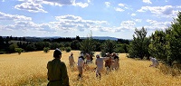 Archeodromo di Poggibonsi