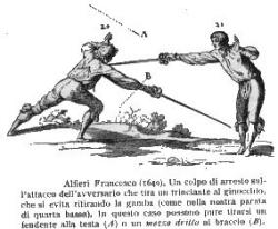 Striscia - Fabris 2