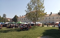 ToPlay: Il Festival del Gioco