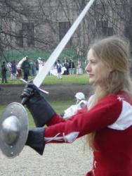 I combattimenti