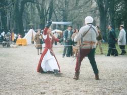 I combattimenti