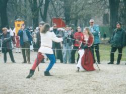 I combattimenti
