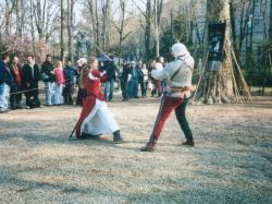 I combattimenti