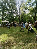 Midgard Viking Fest